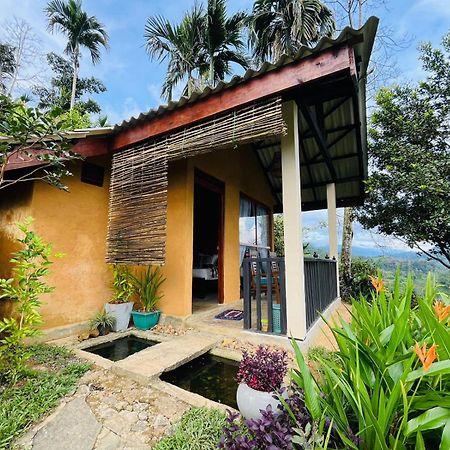 Rainforest Nature House Deniyaya Exterior foto
