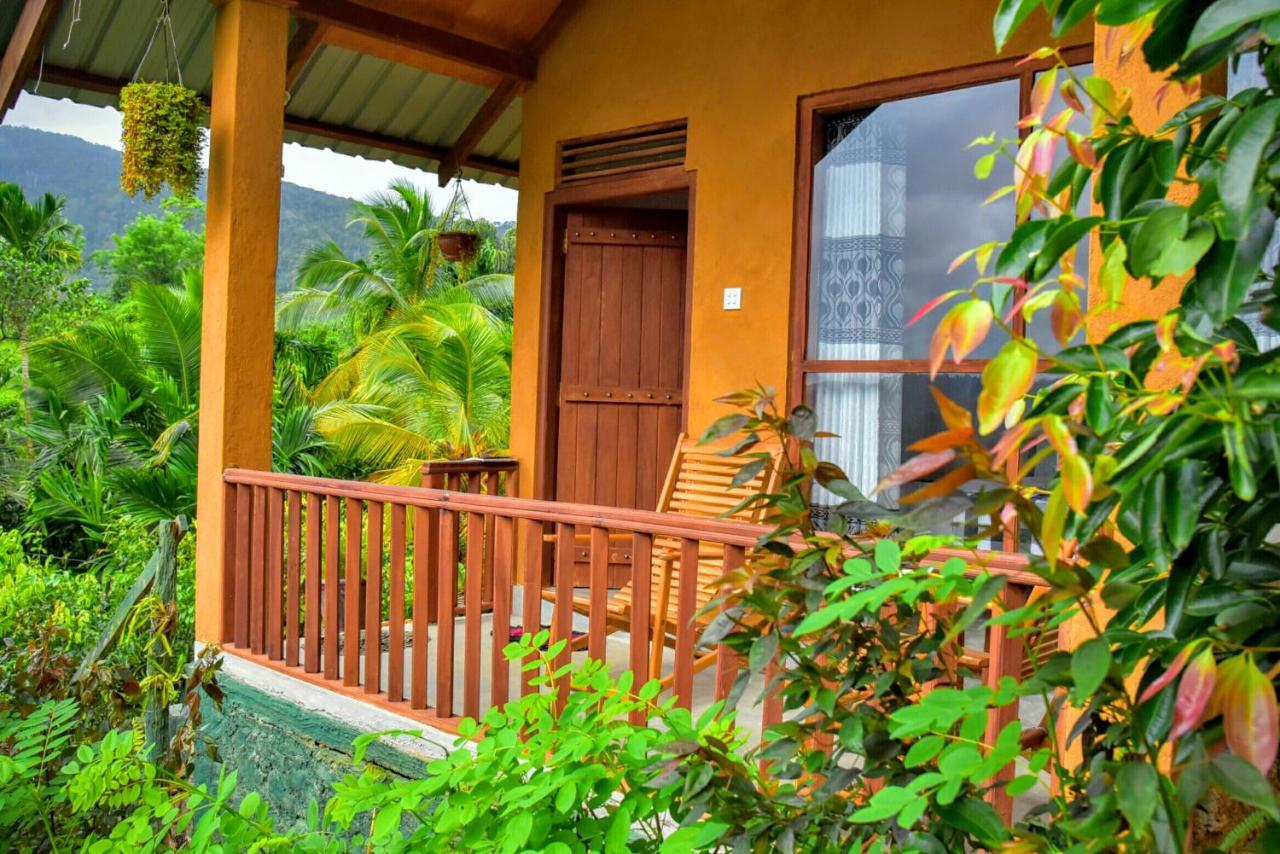 Rainforest Nature House Deniyaya Exterior foto