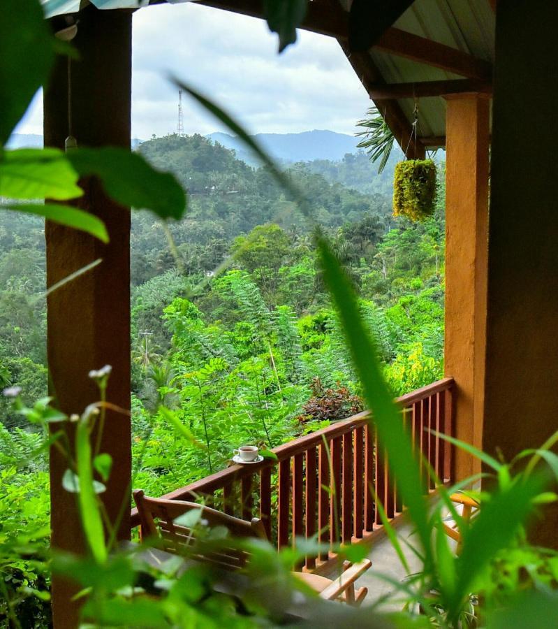 Rainforest Nature House Deniyaya Exterior foto