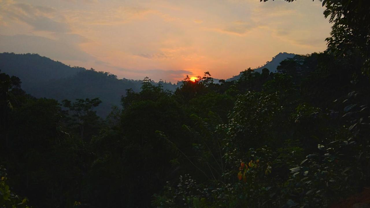 Rainforest Nature House Deniyaya Exterior foto