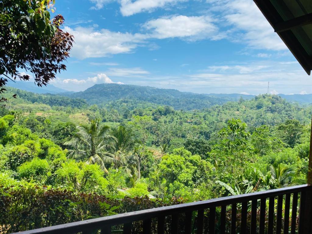 Rainforest Nature House Deniyaya Exterior foto
