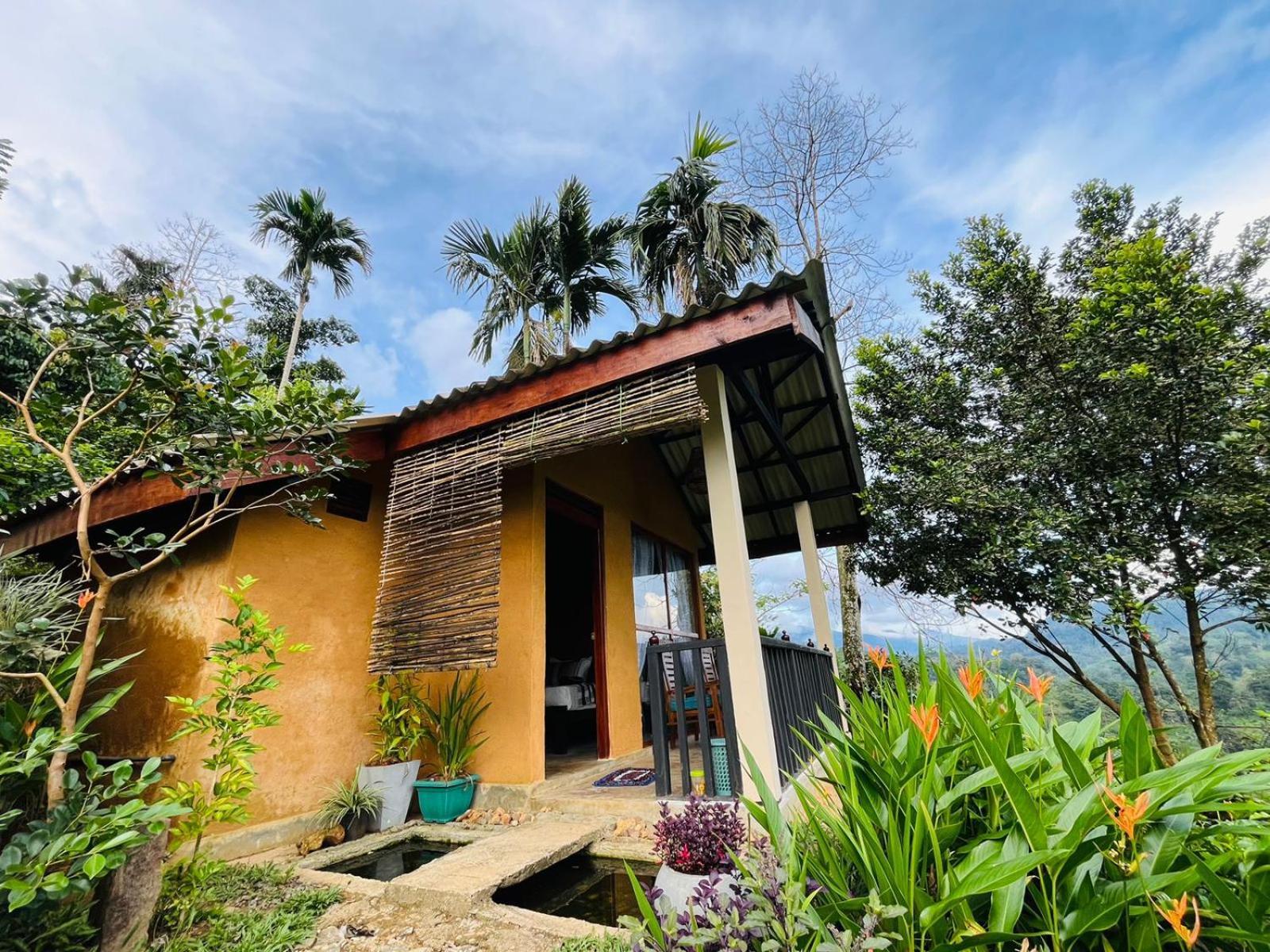 Rainforest Nature House Deniyaya Zimmer foto