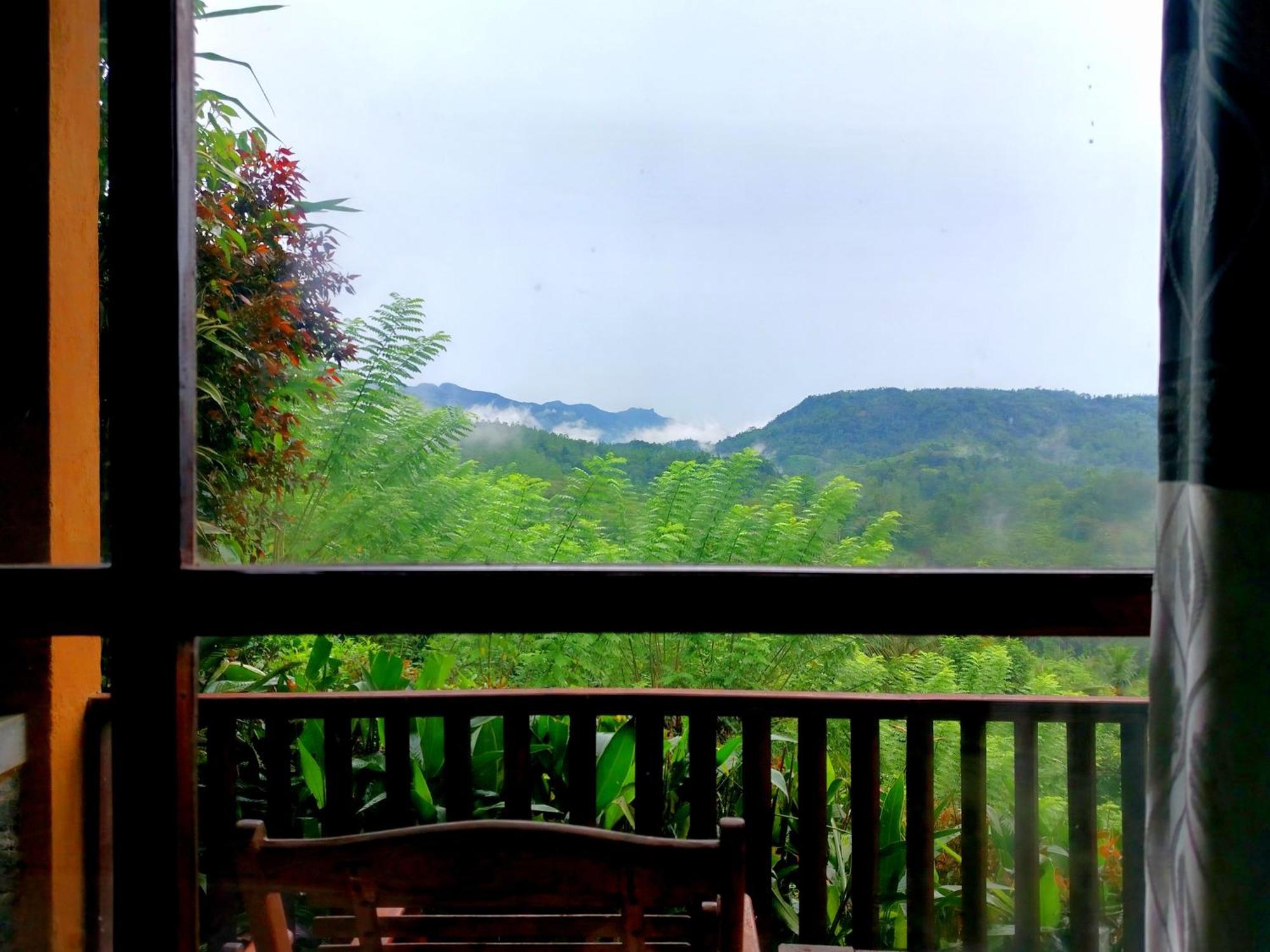 Rainforest Nature House Deniyaya Zimmer foto
